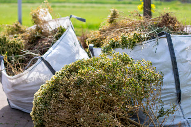 Best Affordable Junk Removal Services  in Central City, IL